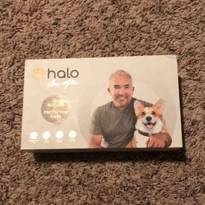 CESAR MILAN’S HALO DOG COLLAR